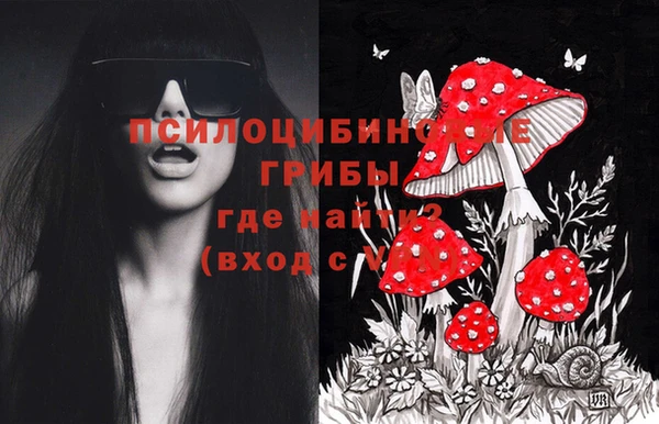 СК Абдулино