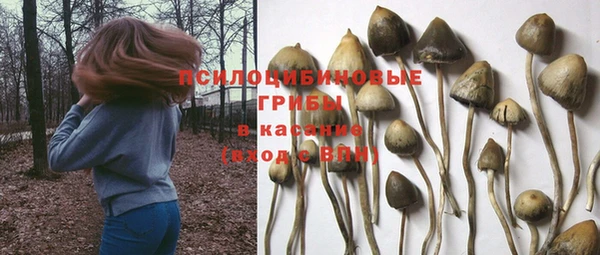 первитин Абинск