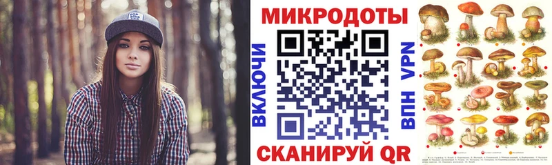 как найти наркотики  Татарск  Галлюциногенные грибы мицелий 
